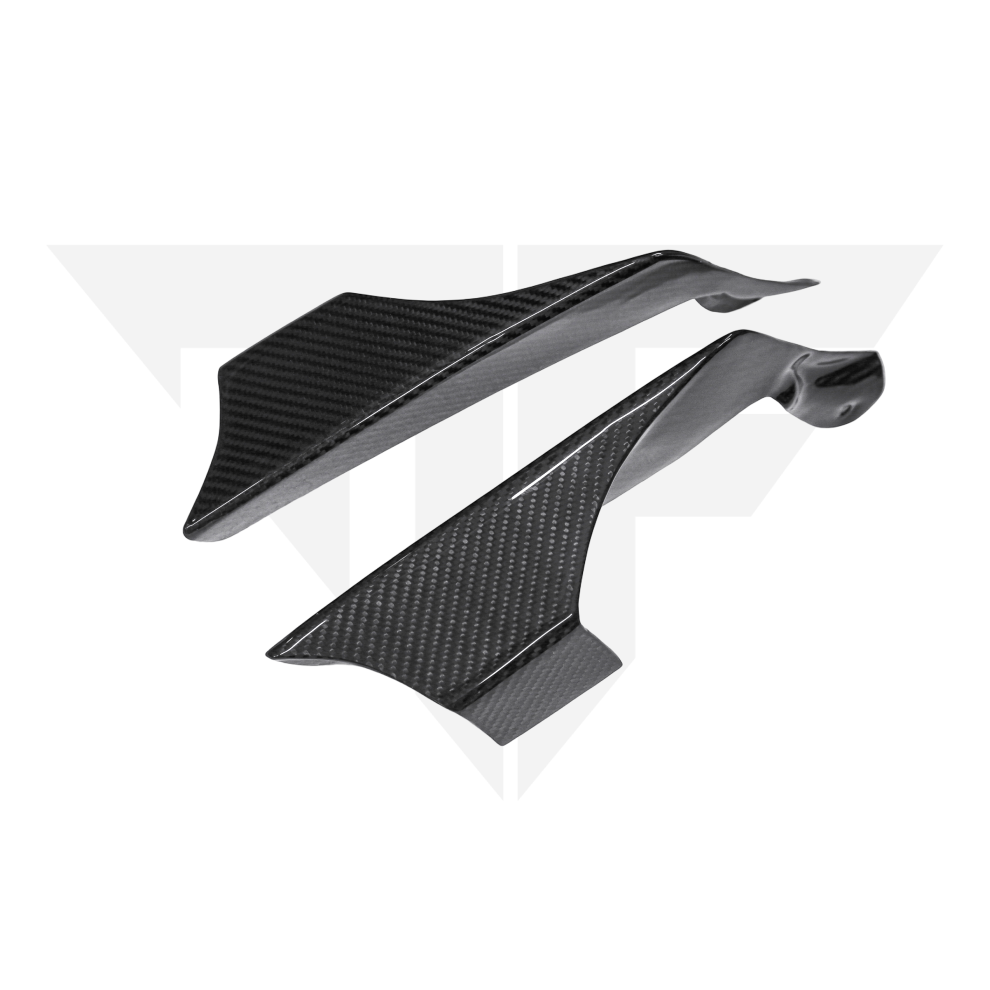 MotorFix SUZUKI HAYABUSA 2022+ carbon Wings