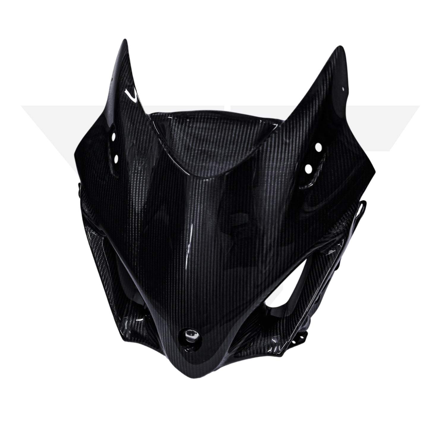 MotorFix Hayabusa 2022+ carbon Full Face